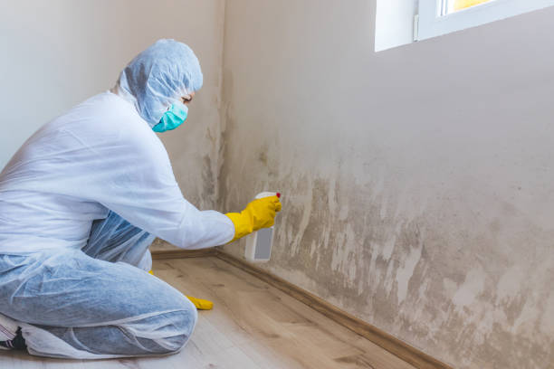 Licensed Crawl Space Mold Removal service in Saint Paul Park, MN - WQB Mold Removal
