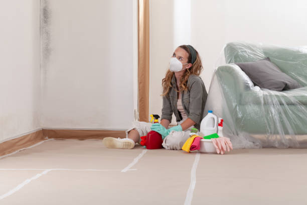 Reliable Crawl Space Mold Removal contractor in Saint Paul Park, MN by WQB Mold Removal